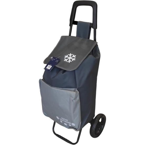 Sac Isotherme Pliable 20L - Pique-nique, Plage, Camping - Grande Capacité, Doublure Aluminium