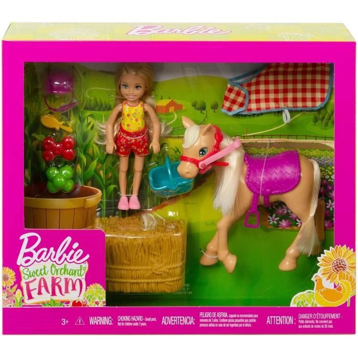 Barbie Coffret Chelsea Avec Son Poney Brun Avec Botte De Paille Et Accessoires - Jouet Fille Ferme - Centre Equestre - Nouveaute