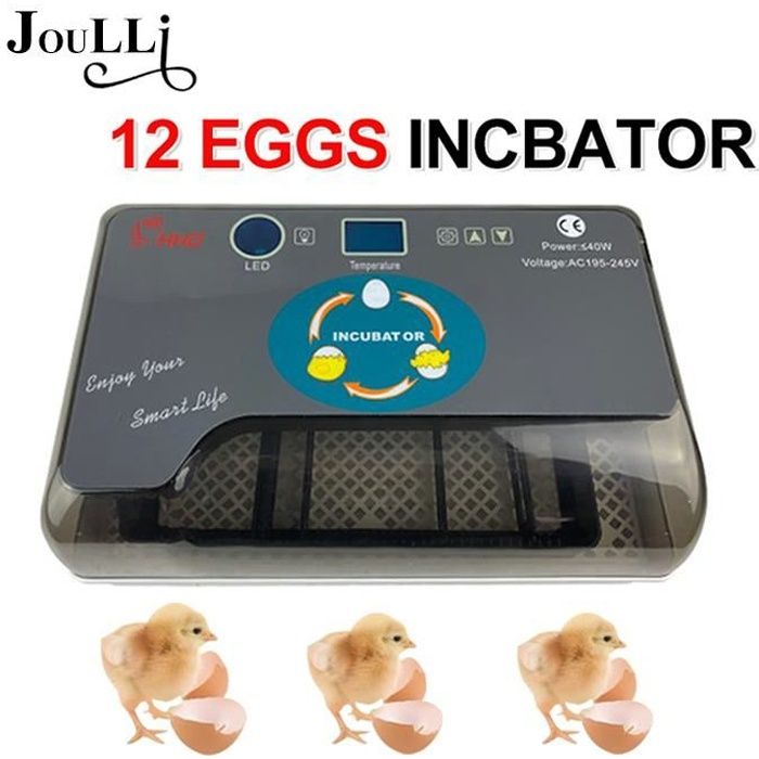 JOULLI Incubateur d'œufs - Eclairage dirigé--Capacité d'oeufs: 12 PCS