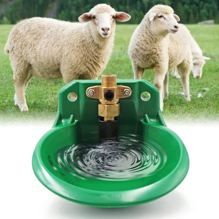 Abreuvoir pour moutons Abreuvoir pour bovins Abreuvoir automatique pour chèvres Distributeur deau de grande capacité Label