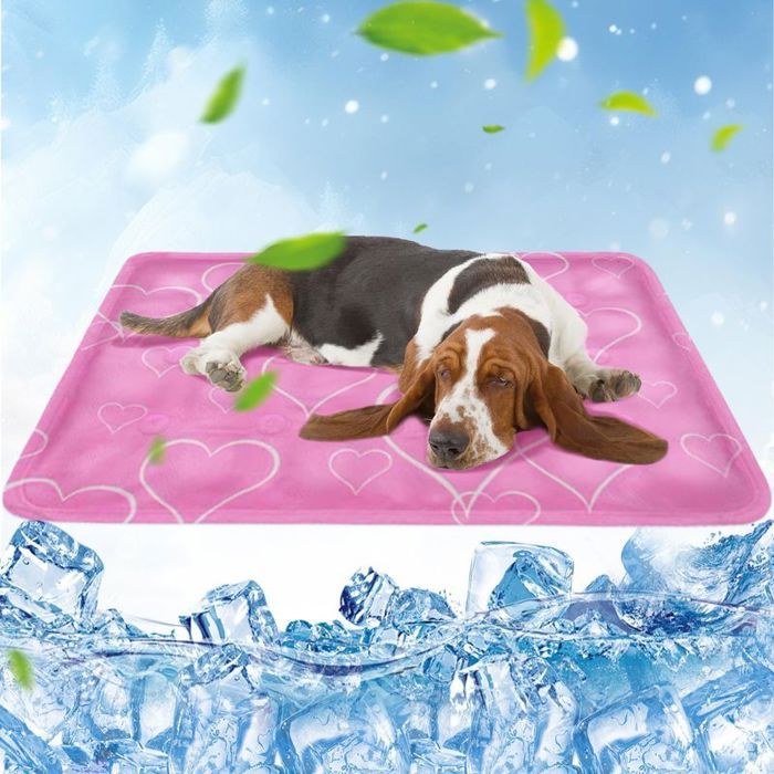 Tapis Rafraîchissant Chien/Chat 60x90cm – Gel Non Toxique Idéal Été pour Petits & Moyens Animaux