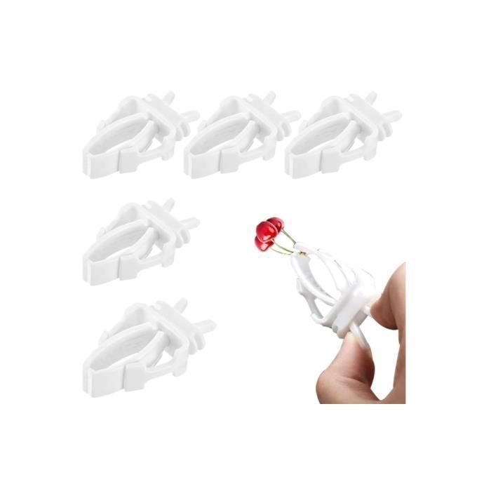 Brochettes de fruits pour oiseaux - 6 PCS - Clip dalimentation pratique - Matériau de haute qualité