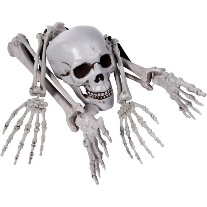 Crâne Humain Statue Squelette Tête Figurine Halloween Décor Aigle -  Cdiscount Maison