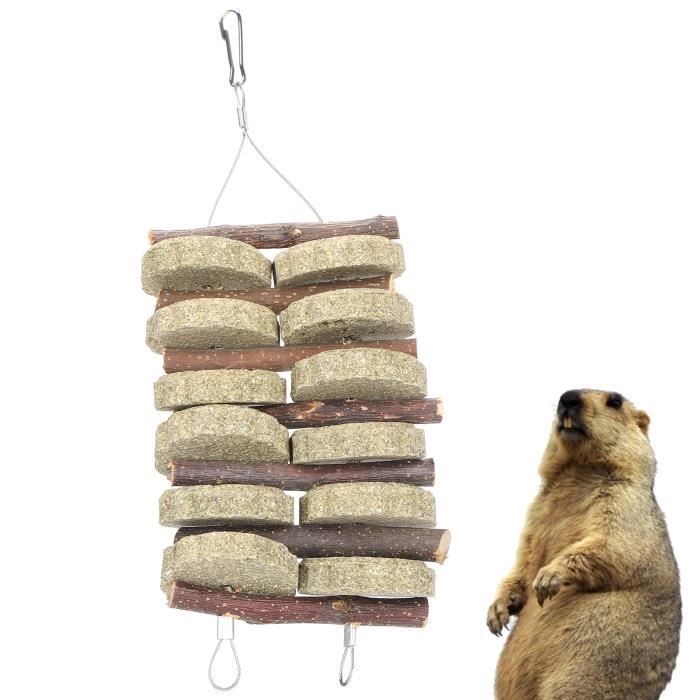 2 Pierres à Ronger Pour Petits Animaux (hamster, Lapin, Chinchilla...) - Roche Volcanique Naturelle - Avec Corde De Suspension Pour Cage