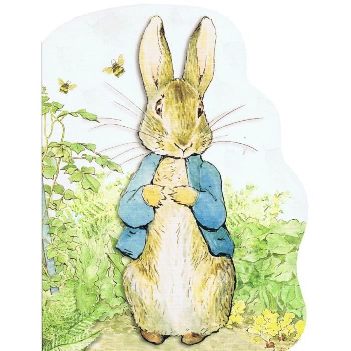 Affiche Décoration Murale - FABULOUS BIJOUX - Pierre Lapin - 31cm x 31cm - Thème Animaux - Intérieur