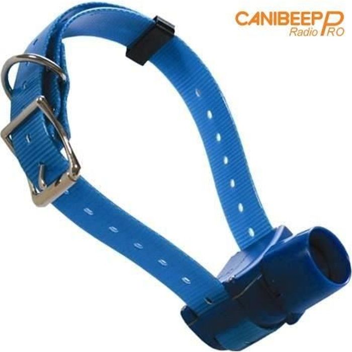 Collier seul canibeep radio pro avec sangle bleue