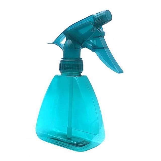 Pulvérisateur En Métal Inoxydable 250 Ml - Vaporisateur Eau Pour Plantes, Brume Fine, Arrosage Fleurs, Entretien Maison