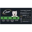 CESAR Barquettes en terrine 4 variétés pour chien 300g (4x6)-1