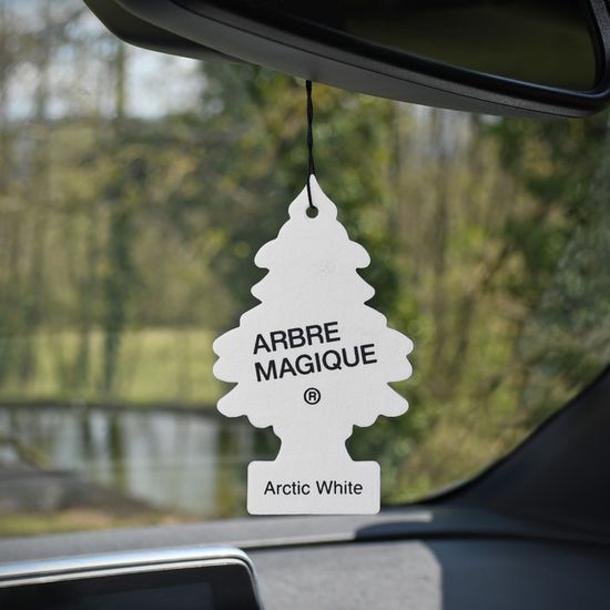 Pack 6 Désodorisants Voiture - Arbre à Parfum - Fragrances