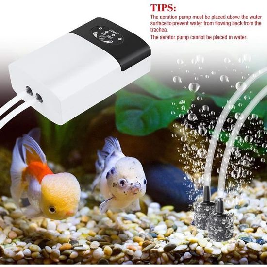 Pompe a Air Aquarium Silencieuse, Portable USB Mini Oxygène Pompe à air  Aquarium, adaptée à l'aquarium et au nano aquarium Rouge - Cdiscount  Animalerie