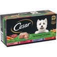 CESAR Barquettes en terrine 4 variétés pour chien 300g (4x6)-2