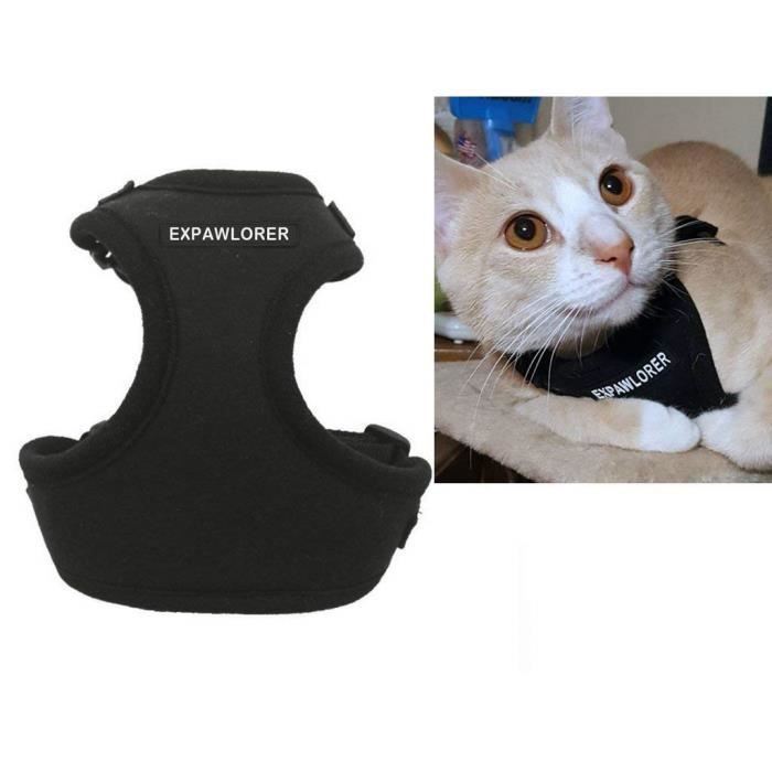 Expawlorer cat deals harness