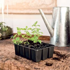 Tapis chauffant pour semis pour plantes Tapis chauffant pour semis de 20 x  10 pouces avec thermostat numérique et coussin PN019 - Cdiscount Jardin