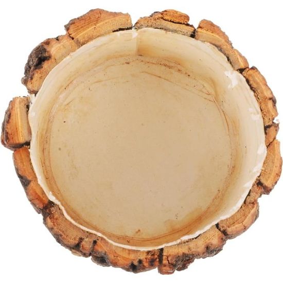 Lot 2 Pots Carrés En Bois Naturel – 9,3 X 9,3 X 4,5 Cm – Pour Plantes Grasses, Fleurs Séchées, Décoration Rustique – Intérieur Et Extérieur - 7