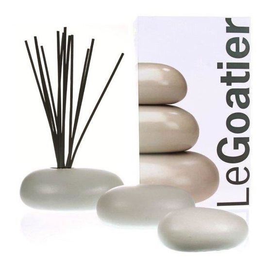 10 Tiges Rotin De Rechange Pour Diffuseur De Parfum - Marque Goa (Neufes)