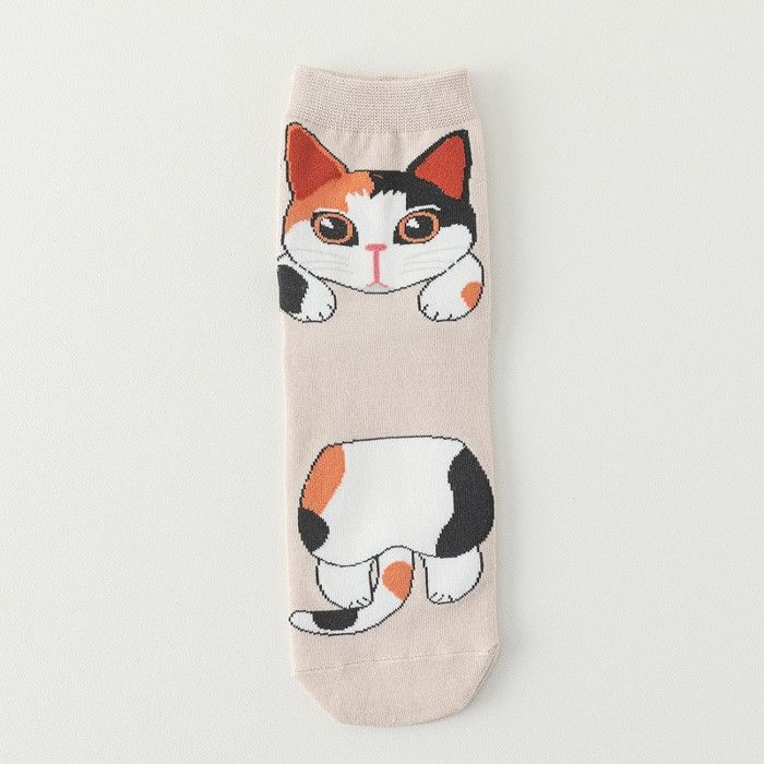 Nos Livres Pour Les Amoureux Des Chats