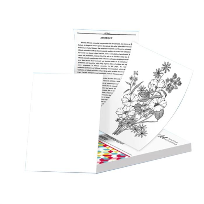 16 Feuilles Safe pour timbres France 2011