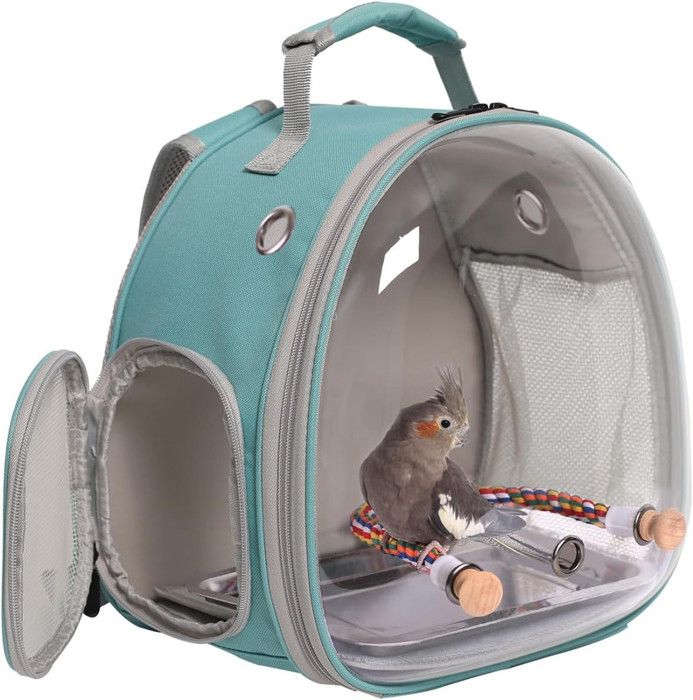 Meilleurs prix pour Sac à dos de voyage transport pour Petits Animaux, Cage de Transport pour Petits Oiseaux Perroquet, 31.75x17.75x31.75cm Vert