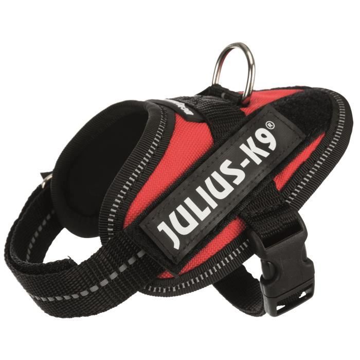 JULIUS K9 Harnais Power IDC Baby 1–XS : 29–36 cm - 18 mm - Rouge - Pour chien