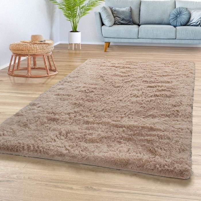Sitemapcdatahttpsapp2kedriinfotapis Poil Long Beige