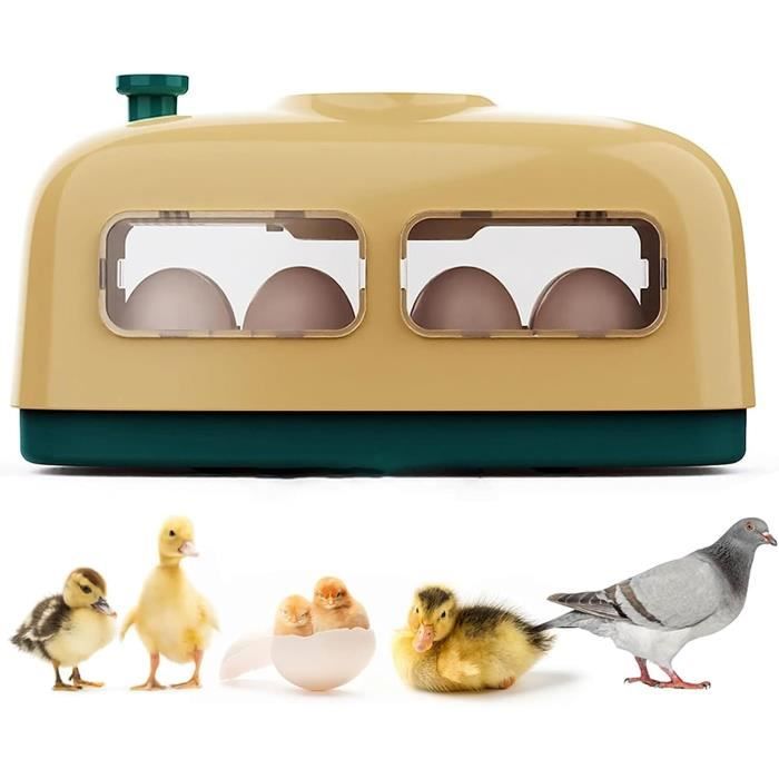 Couveuse pour Poussins et Oisillons - Boîtier de Nidification 3 en 1 avec Fenêtre Visuelle, Plaques Chauffante Réglable et Thermostat - Pour Poussins, Perroquets, Canetons et Autres Oiseaux