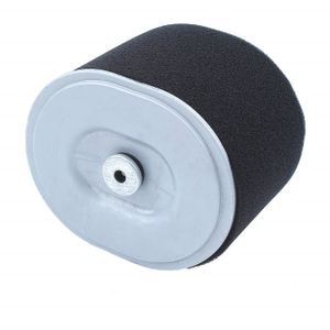 FILTRATION D'AIR AMÉLIORÉE Avec Filtre De Remplacement Pour Moteurs