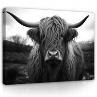 Impression sur Toile Vache écossaise Animaux Noir et blanc Moderne 120x80 cm XXL Tableau Décoration Salon Chambre pret a accroche
