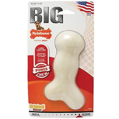 Nylabone galileo deals souper