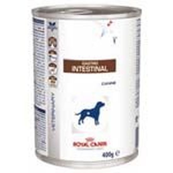 Gastro intestinal royal canin junior top