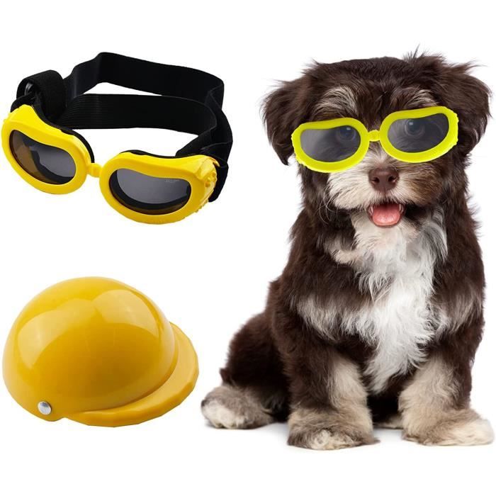 Lunette de soleil ronde pour chien