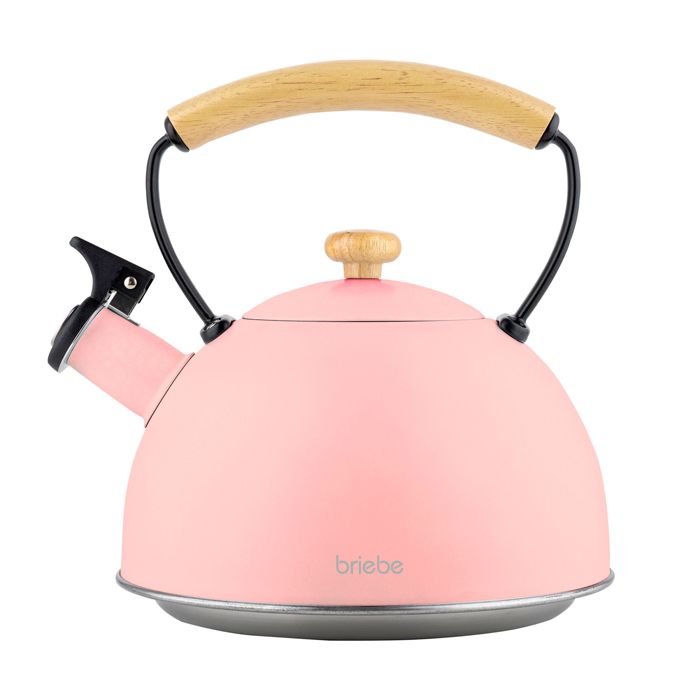 Bouilloire Sifflante 2,5 L En Acier Inoxydable - Pour Induction, Gaz, électrique - Bec Verseur, Poignée Bois Anti-brûlure