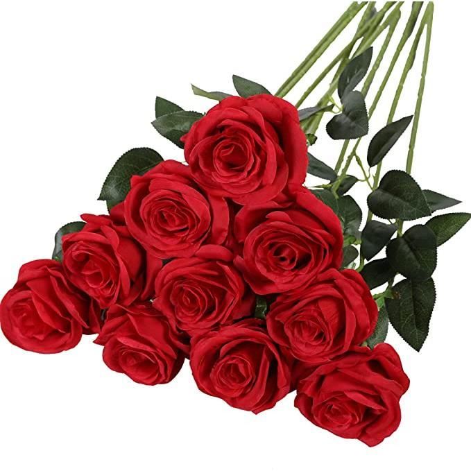 XJYDNCG Artificiel Soie Rose Fleurs Tige Unique Une Fausse Rose Réaliste  10pcs (Rouge) - Cdiscount Maison