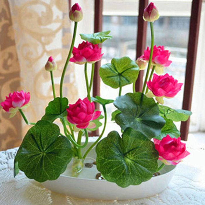 100 Graines De Lotus – Mélange Couleurs – Graines Bonsaï Bol D'Eau – Fleur De Lotus Hydroponique – Décoration Jardin, Balcon, Étang