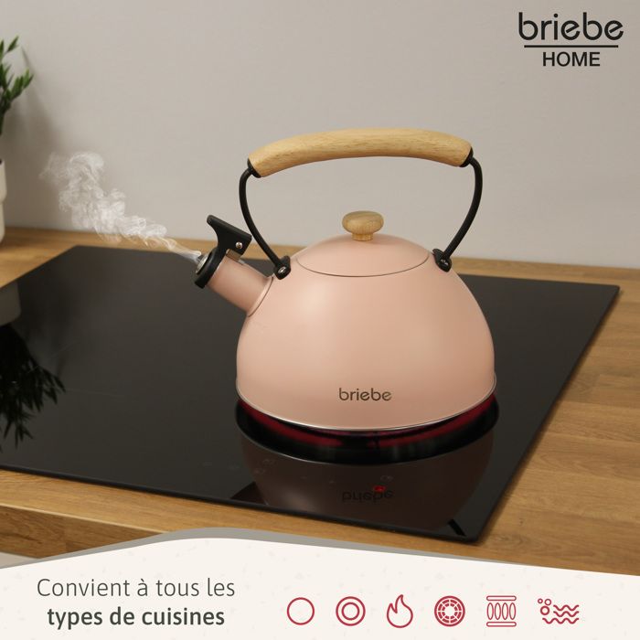 Bouilloire Sifflante En Acier Inoxydable 2,5L - Pour Induction, Gaz, électrique - Bec Verseur Pratique, Poignée En Bois Anti-brûlure - Sifflet Audible