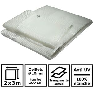 Provence Outillage 2651 Tarpaulin 160 G//M 2 X 3 M Transparent