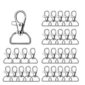 Lame De Microscope Préparée - 3 Types De Champignons - 75x25 Mm - Marque Eisco Labs - Pour Étude Biologique