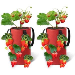 Suspension Fleur Pochette Sacs pour fraises Fleurs Herbes Plantes x 12 Sacs 
