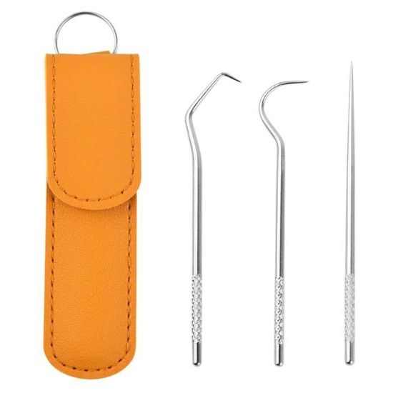 Cure-dents En Acier Inoxydable Prasacco - Lot De 10 Avec Étui Porte-Clés - Réutilisables - Voyage