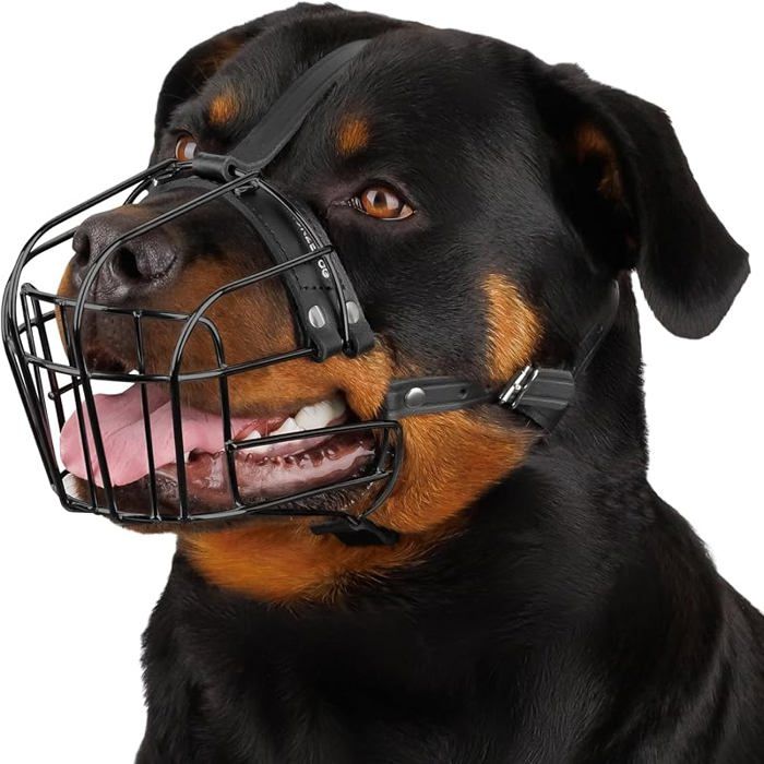 Museau Chien Réglable en Fil Métallique Durable pour Grands Chiens Sangles en Cuir Respirant Permet de Rottweiler PVC PVC MUSELIERE