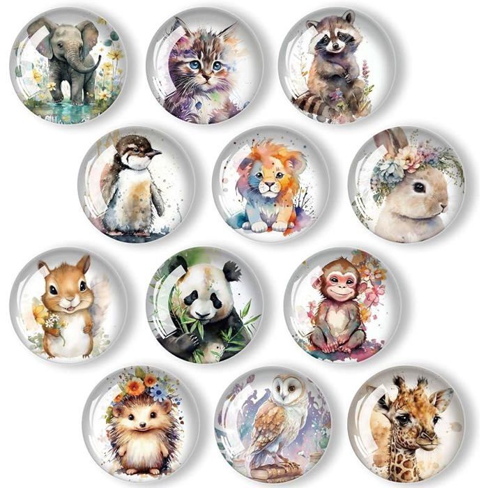 12 Pièces Animal Aimant Frigo 3D Magnet Plat pour Réfrigérateur Tableau Magnétique Blanc Armoires Cuisine (30 mm) A AIMANTS