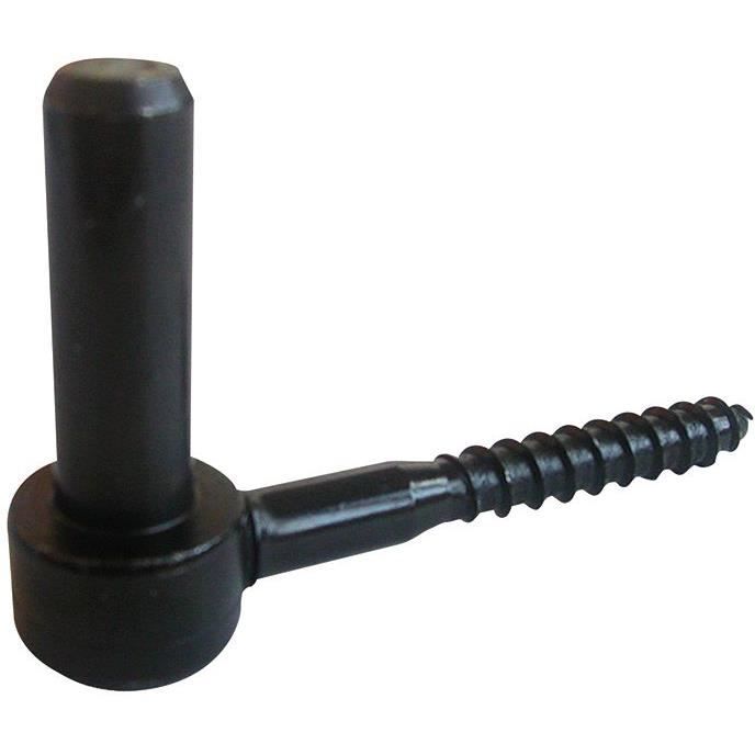 Gond à visser 16 tirefond 10 l100mm noir