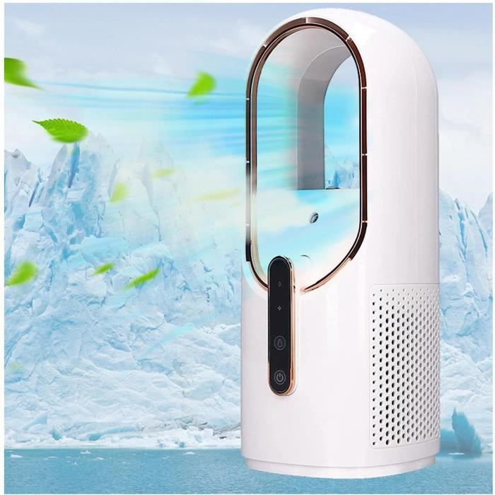 Climatiseur portable Ecoflow Wave 2 + batterie pour camping-car Climatiseur portable Ecoflow Wave 2 + batterie pour camping-car