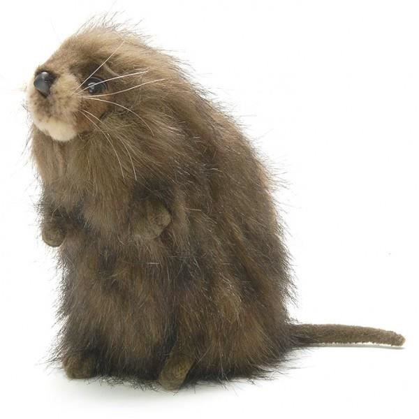 Peluche Rat Musque 18 Cm Cdiscount Jeux Jouets Peluche Rat Musque 18 Cm Cdiscount Jeux Jouets