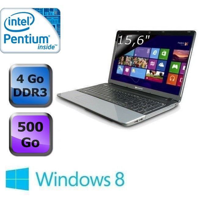 Packard Bell Easynote Te11hc B9604g50mnks Prix Pas Cher Cdiscount
