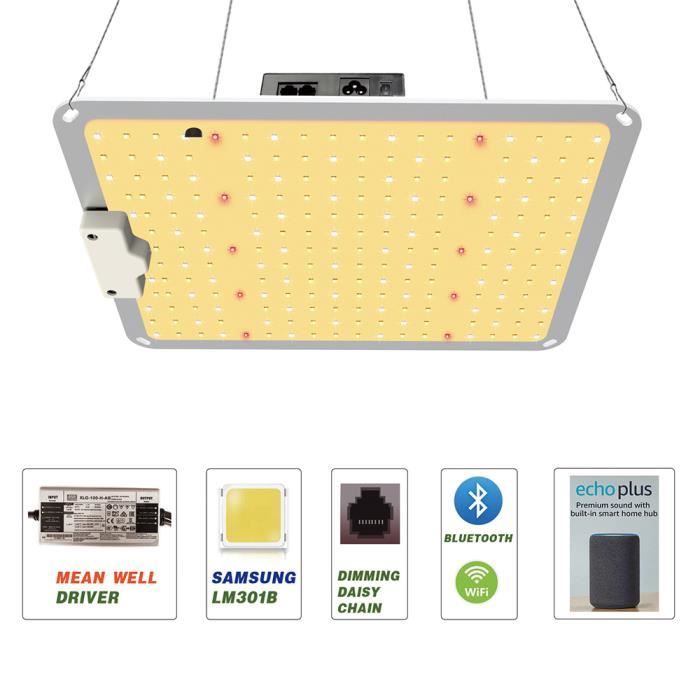 OHMG Eclairage , Lampe de culture solaire à LED, 1000W, pour plantes d ...