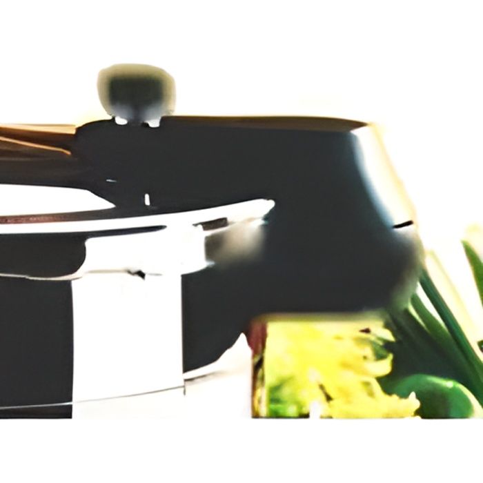 Marmite professionnelle inox induction 24 cm 10,8 litres - Tom Press