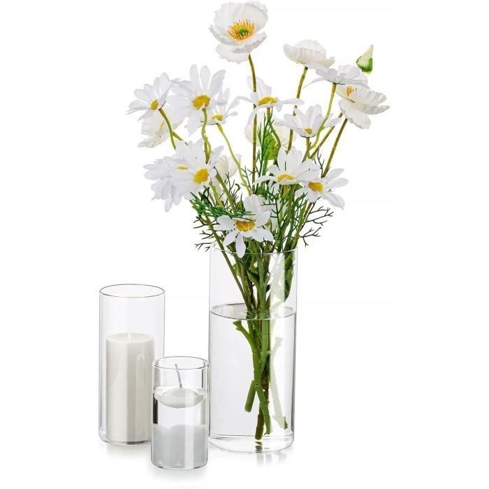 Vase En Verre Transparent 20cm - Forme Ambre - Pour Fleurs Fraîches Ou Séchées - Décoration Table