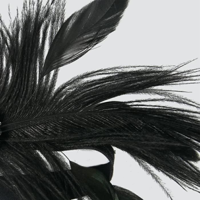 Plume Bandeau Années 20 Vintage Plumes Accessoires Cheveux pour Femmes,  Noir Serre-Tête Plume avec Décoration en Cristal, élégant Bandeau  Charleston