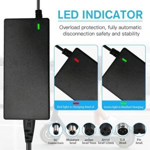 Chargeur 54,6 V 2A Pour Trottinette électrique Hitway H5/H5 Pro & UrbanGlide - Avec Sac étanche