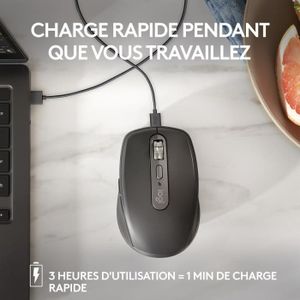 Souris sans fil rechargeable LOGITECH MX Anywhere 2S Gris pale à 89,98
